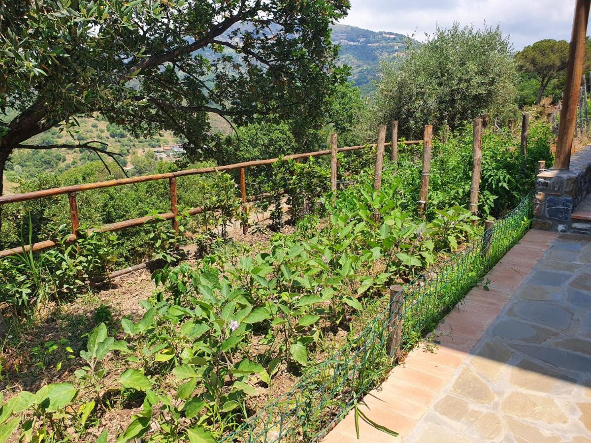 Agriturismo Le Terre Di Venere อักเชียโรลี ภายนอก รูปภาพ