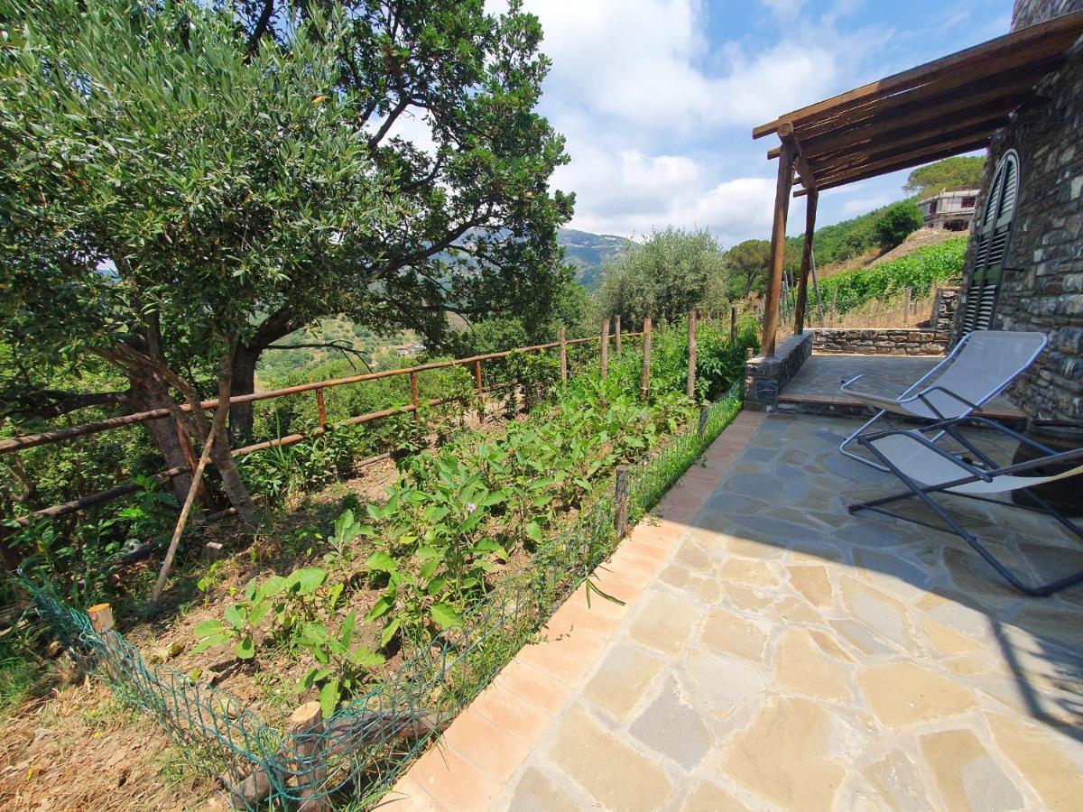 Agriturismo Le Terre Di Venere อักเชียโรลี ภายนอก รูปภาพ