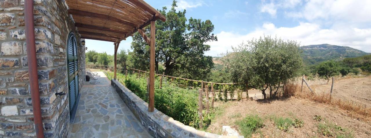 Agriturismo Le Terre Di Venere อักเชียโรลี ภายนอก รูปภาพ