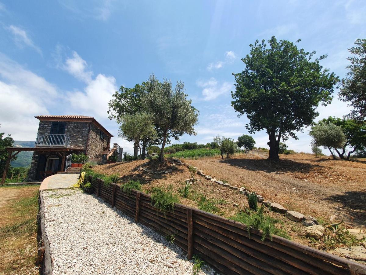 Agriturismo Le Terre Di Venere อักเชียโรลี ภายนอก รูปภาพ