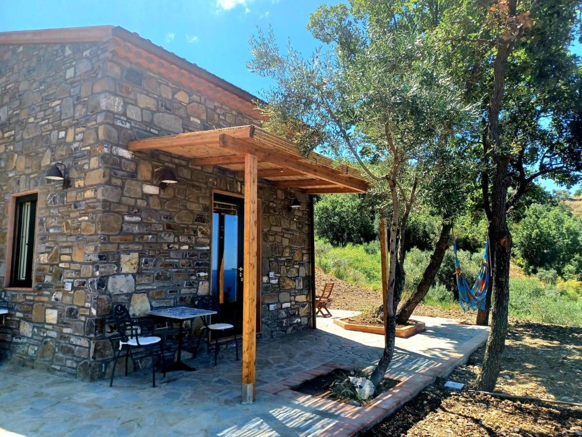 Agriturismo Le Terre Di Venere อักเชียโรลี ภายนอก รูปภาพ